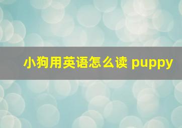 小狗用英语怎么读 puppy